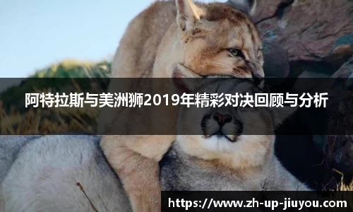 阿特拉斯与美洲狮2019年精彩对决回顾与分析
